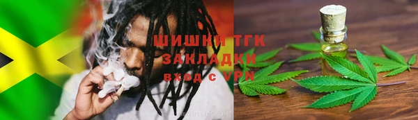 ГАЛЛЮЦИНОГЕННЫЕ ГРИБЫ Белокуриха