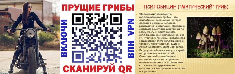 Галлюциногенные грибы Cubensis  Полтавская 